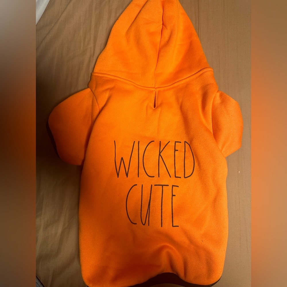 multiple dog clothing items